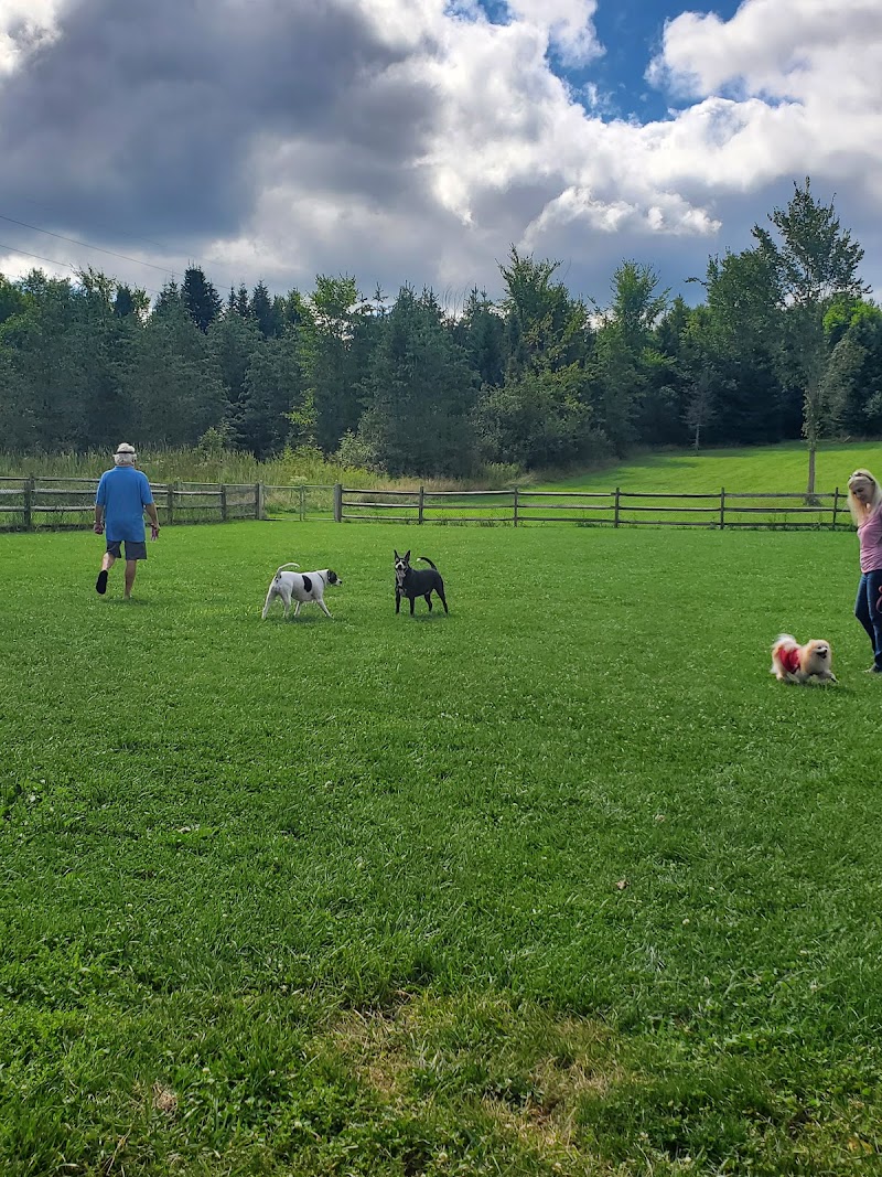Thomas Heritage Park - Pickleball in Streetsboro, Ohio