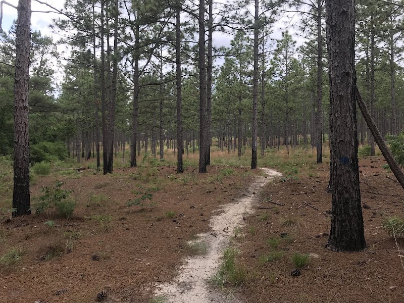 Cheraw Mountain Bike Trail - Pickleball in Cheraw, South Carolina