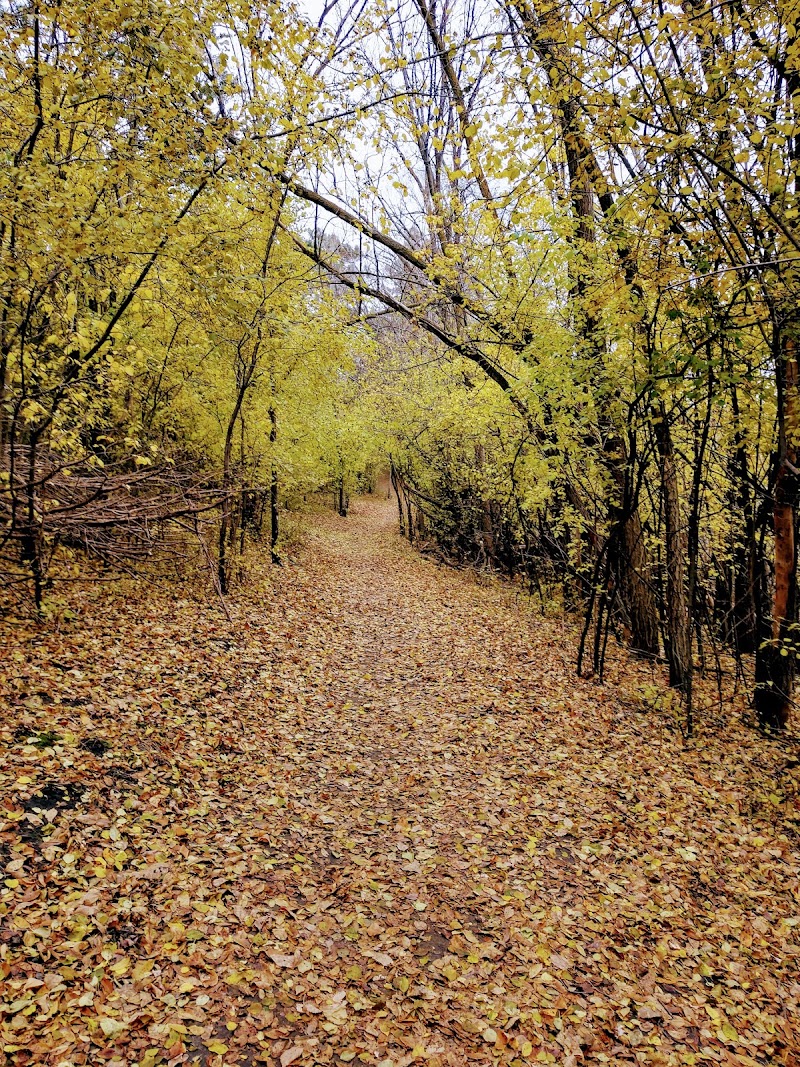 Kiwanis Woodlot Park