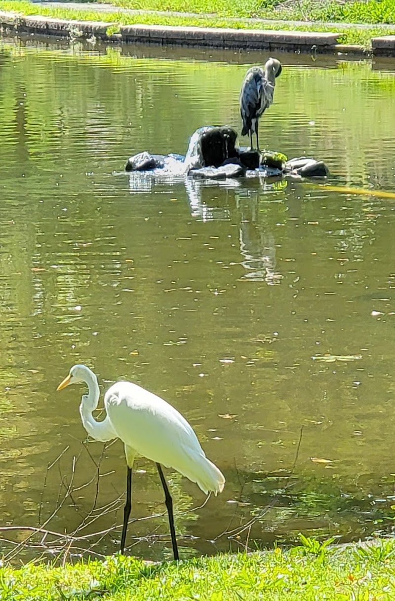 Meadowland Park