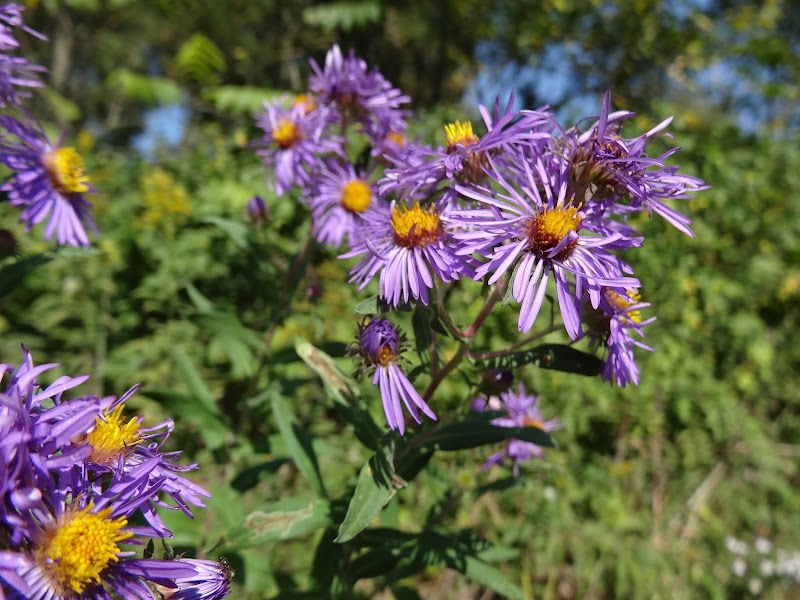 Beaver Creek Valley State Park