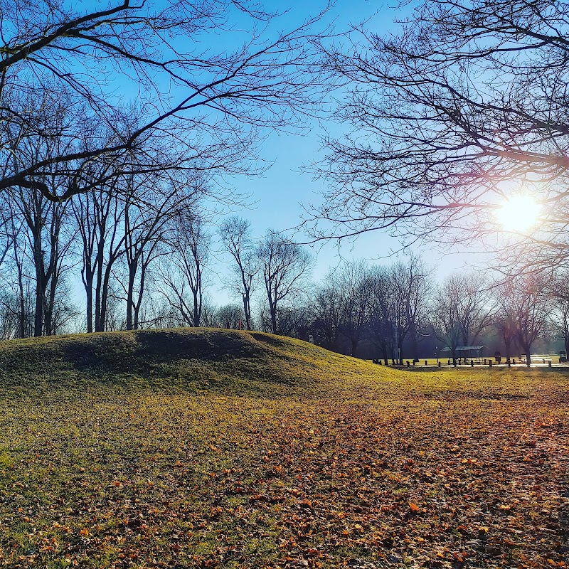 Abrams Park