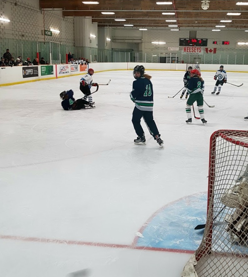 Stronach Arena & Community Centre