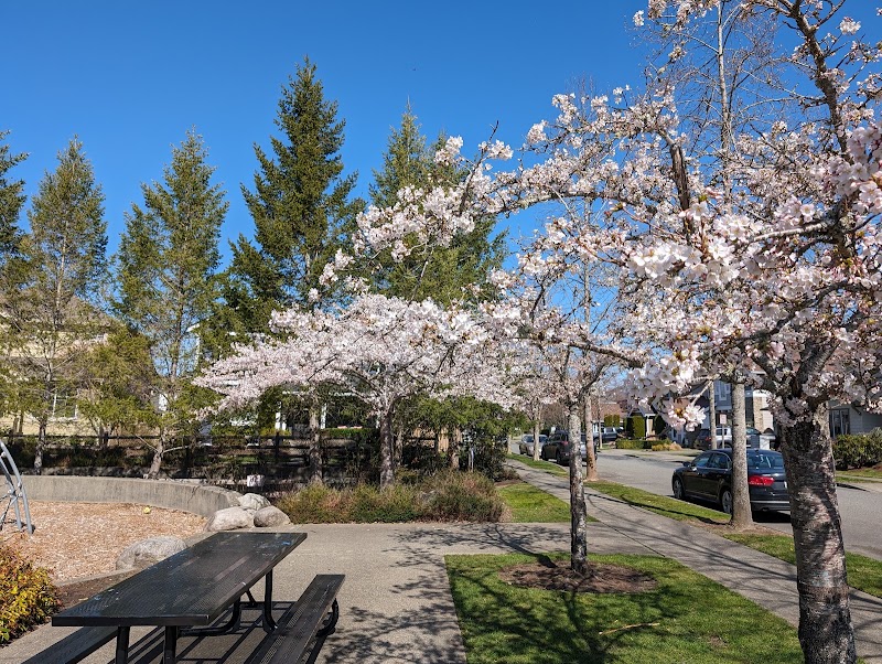 Crestview Park - Pickleball in North Bend, Washington