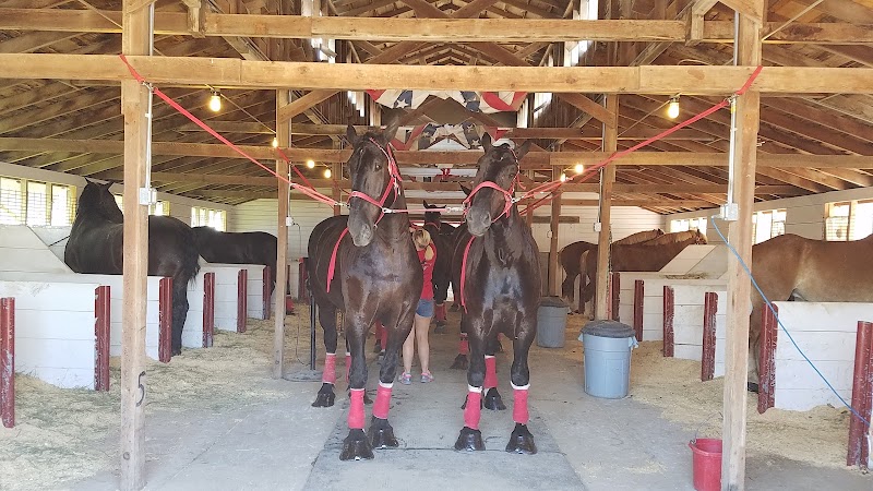 Murray County Fair