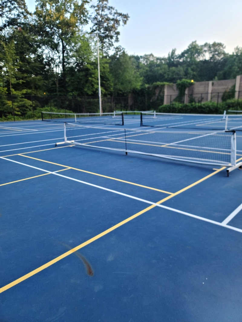 Pickleball Peterson - Pickleball in Hibernia, New Jersey