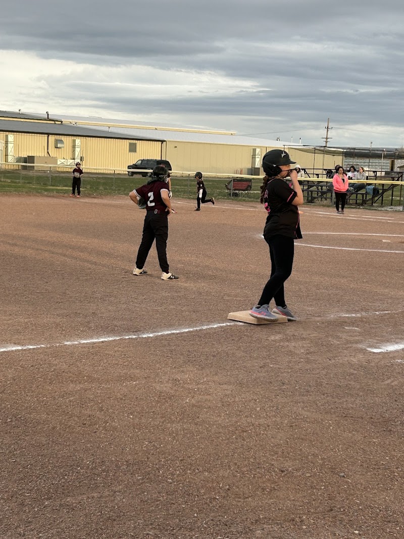 Wood's Softball Field