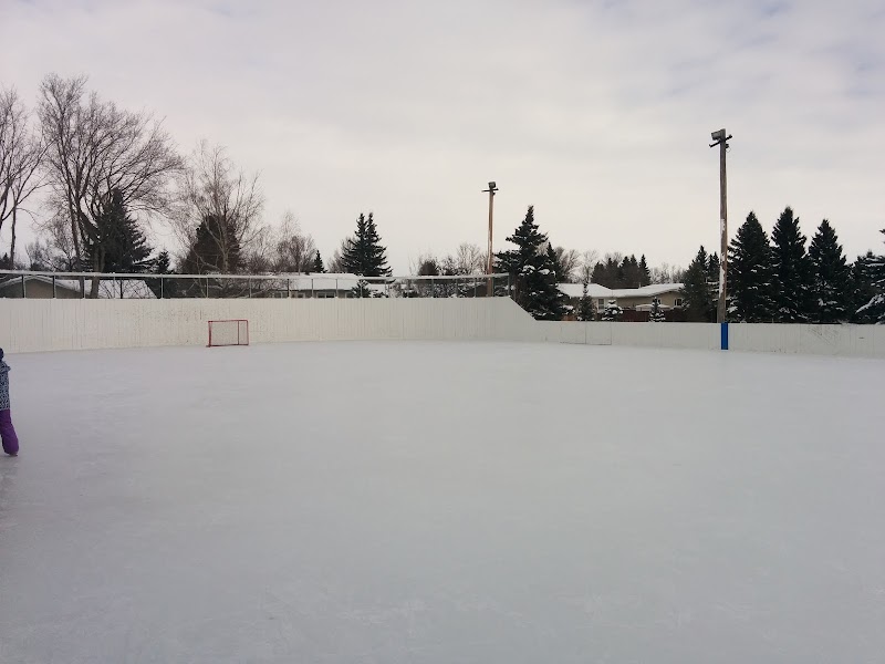 Alpine Park Rink