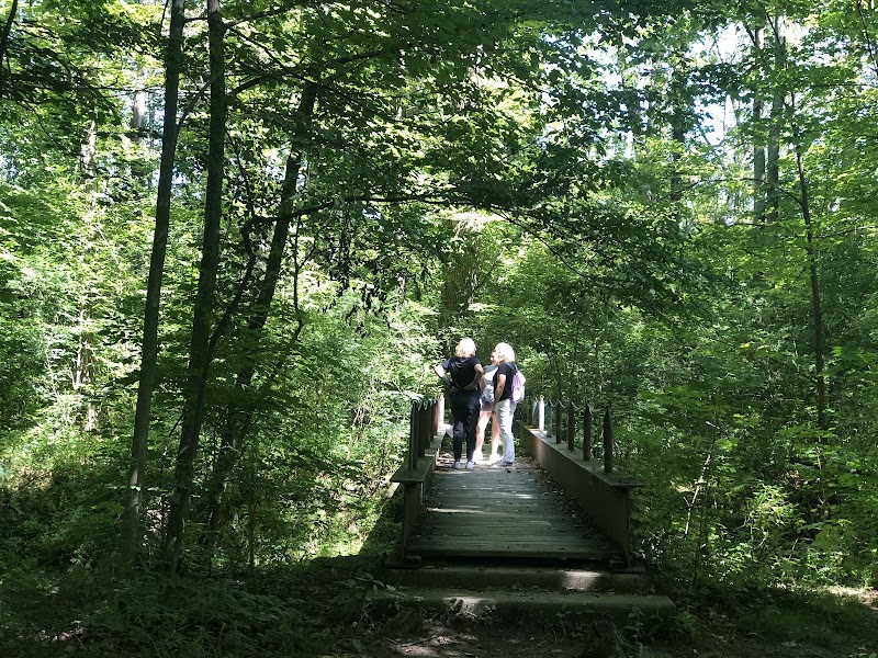 Oberlin Arboretum
