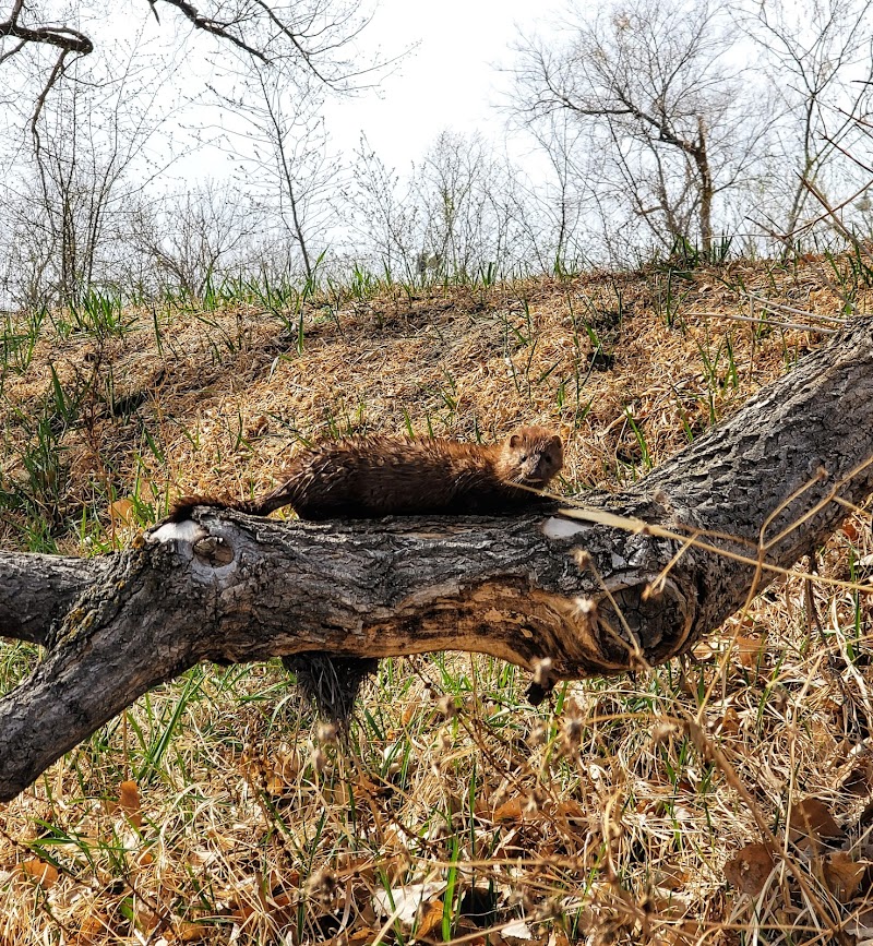 Eagles Park