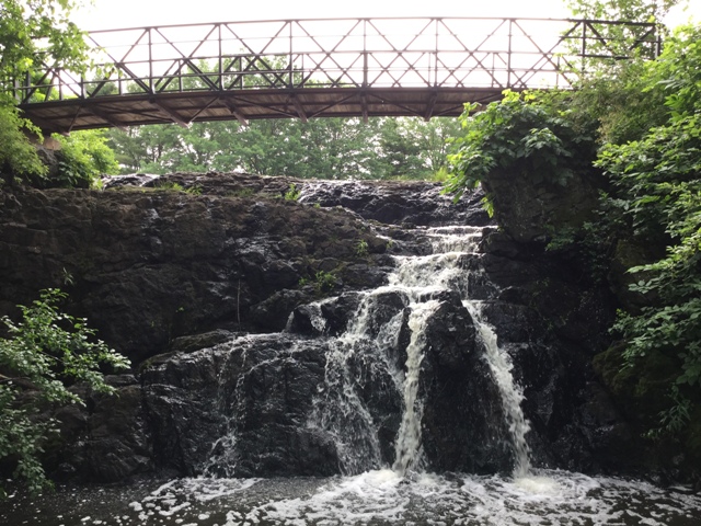 Mill Pond Park