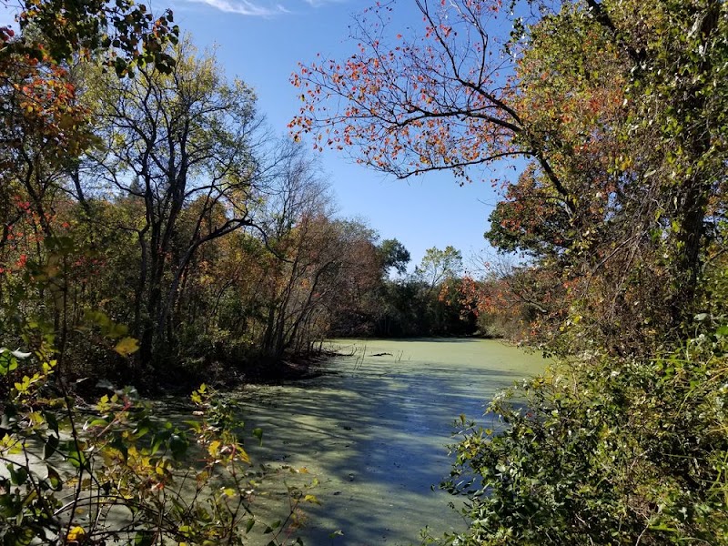 Bee Creek Park