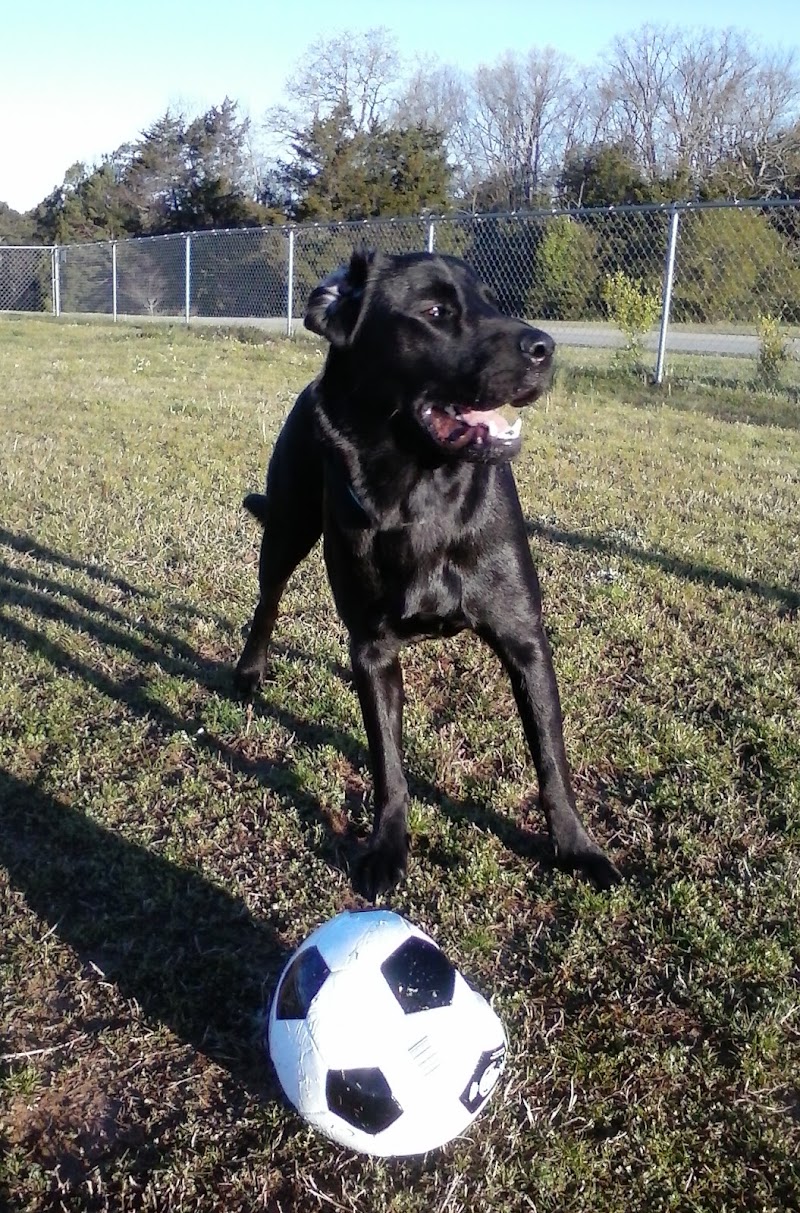 Fairfield Bay Dog Park