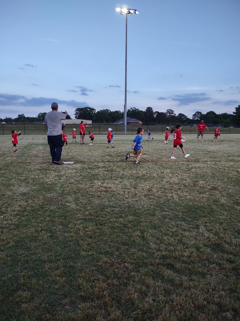 ERWIN PARKS AND REC GYM - Pickleball in Lillington, North Carolina