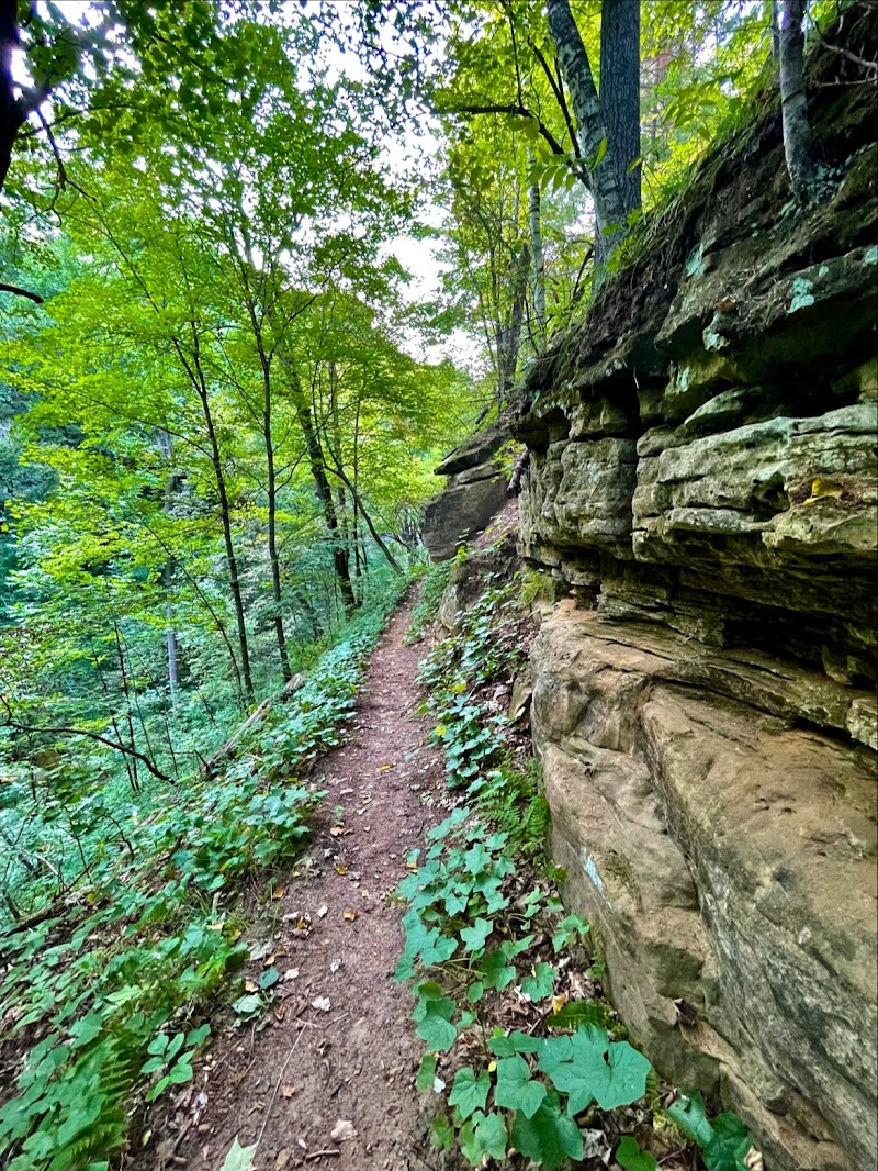 Crystal Spring Scientific and Natural Area