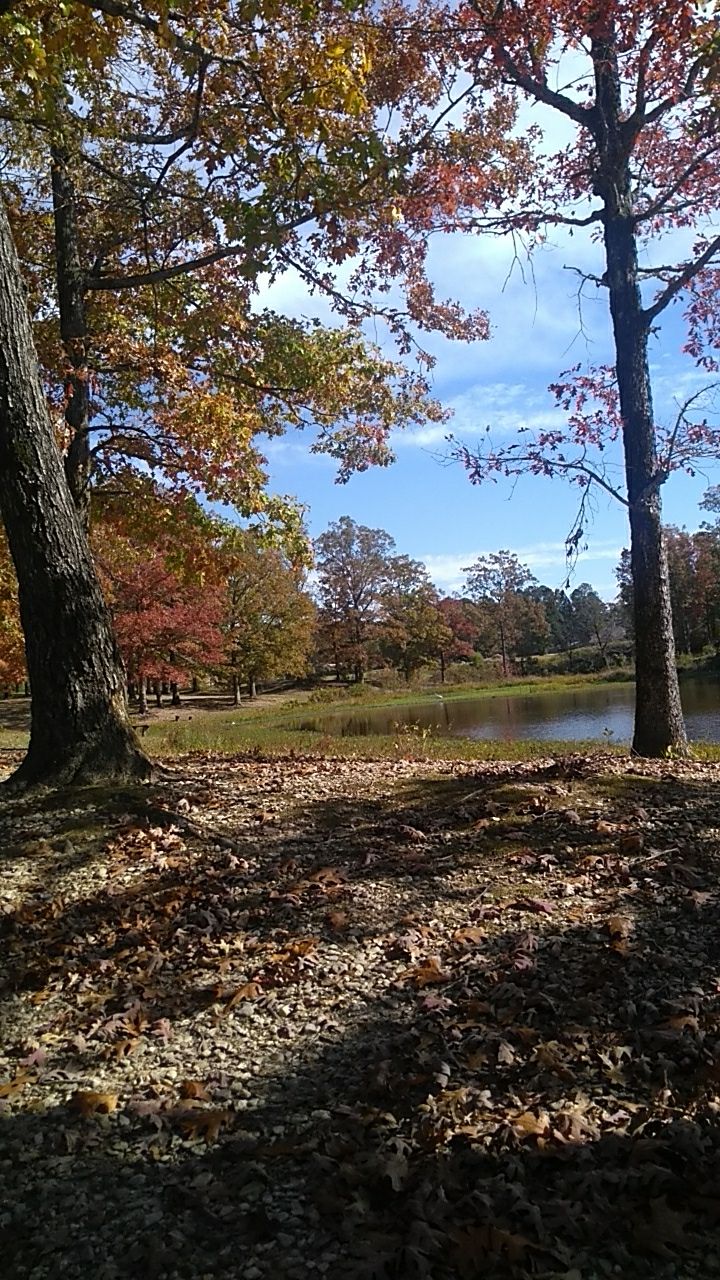 Baugh Park
