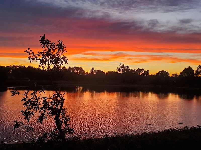 Prairie Lake Recreation Area - Pickleball in Juniata, Nebraska