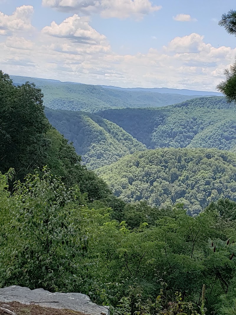 Pipestem Championship Golf Course - Pickleball in Pipestem, West Virginia