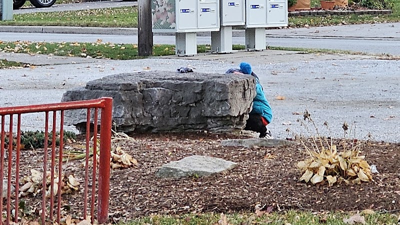 Shawanoe Park