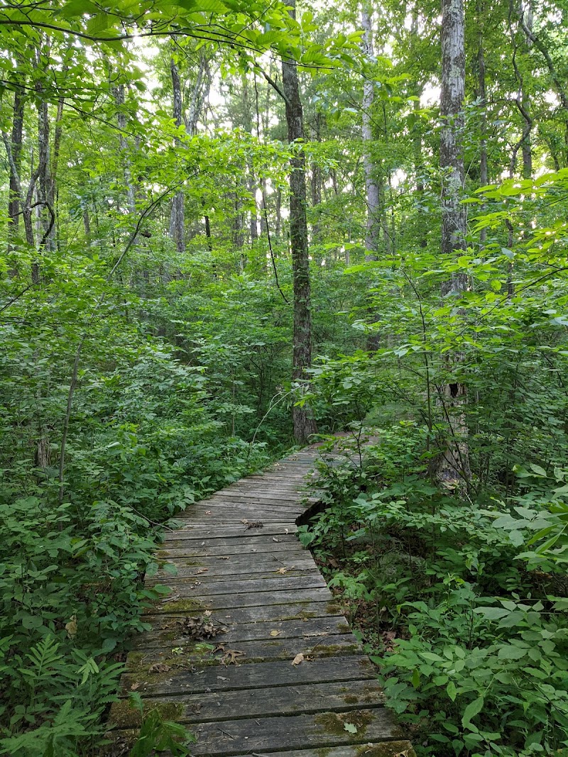Hackett Hill Park