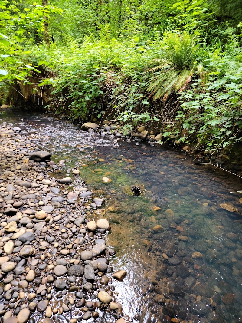 Salmon Creek Park