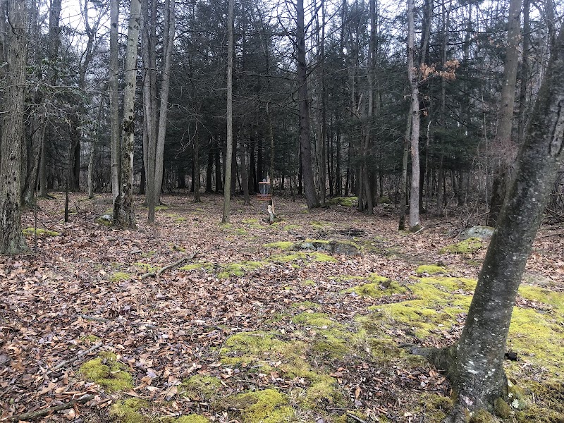 Linesville Park Disc Golf Course