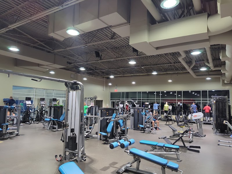 Healthy Living And Fitness
