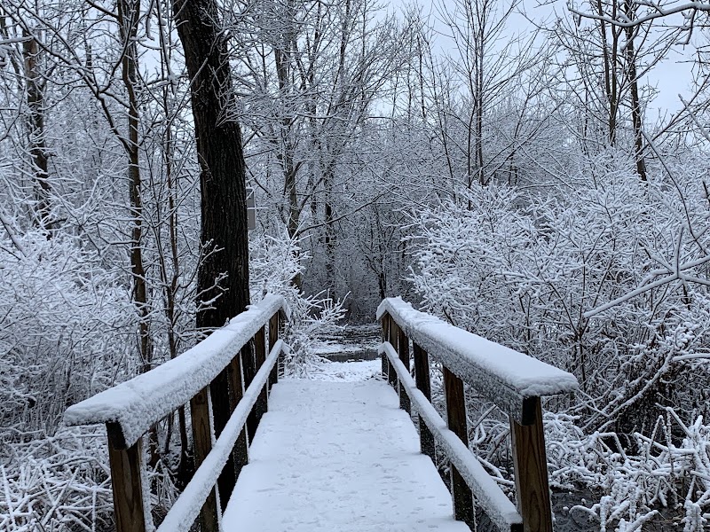 Black Creek Park