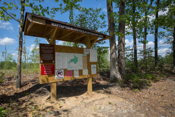 Mattaponi Bluffs Wildlife Management Area - Pickleball in Mattaponi, Virginia