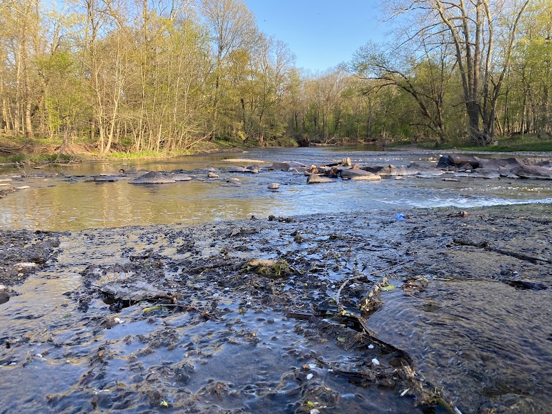 Branchwood Park