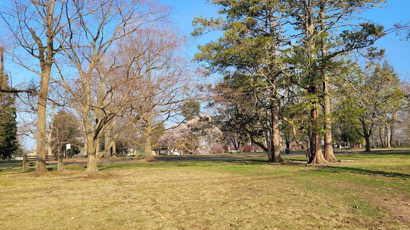 Paterson Recreation