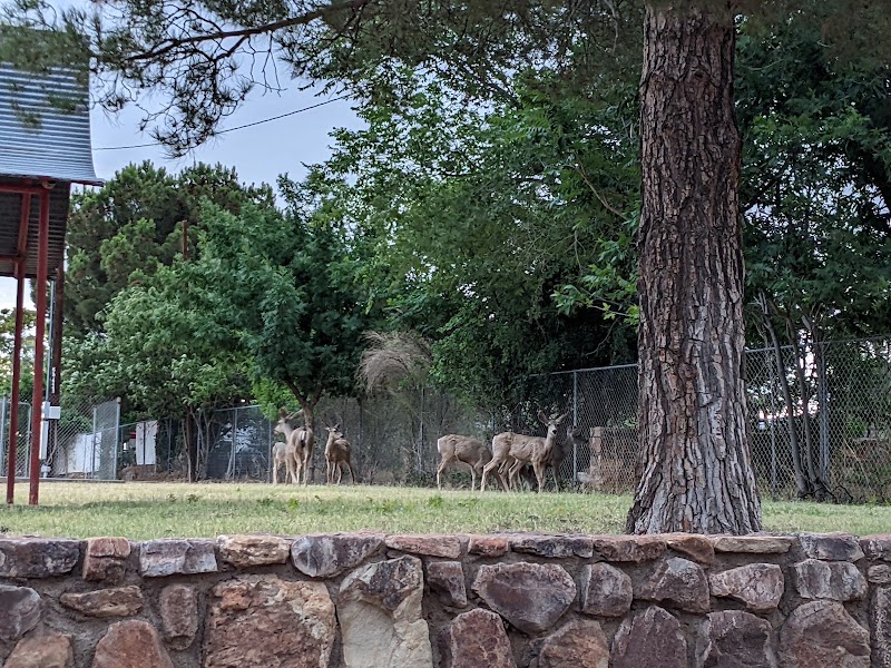 Baines Park