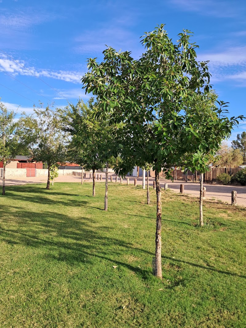 Mesa Heights Park