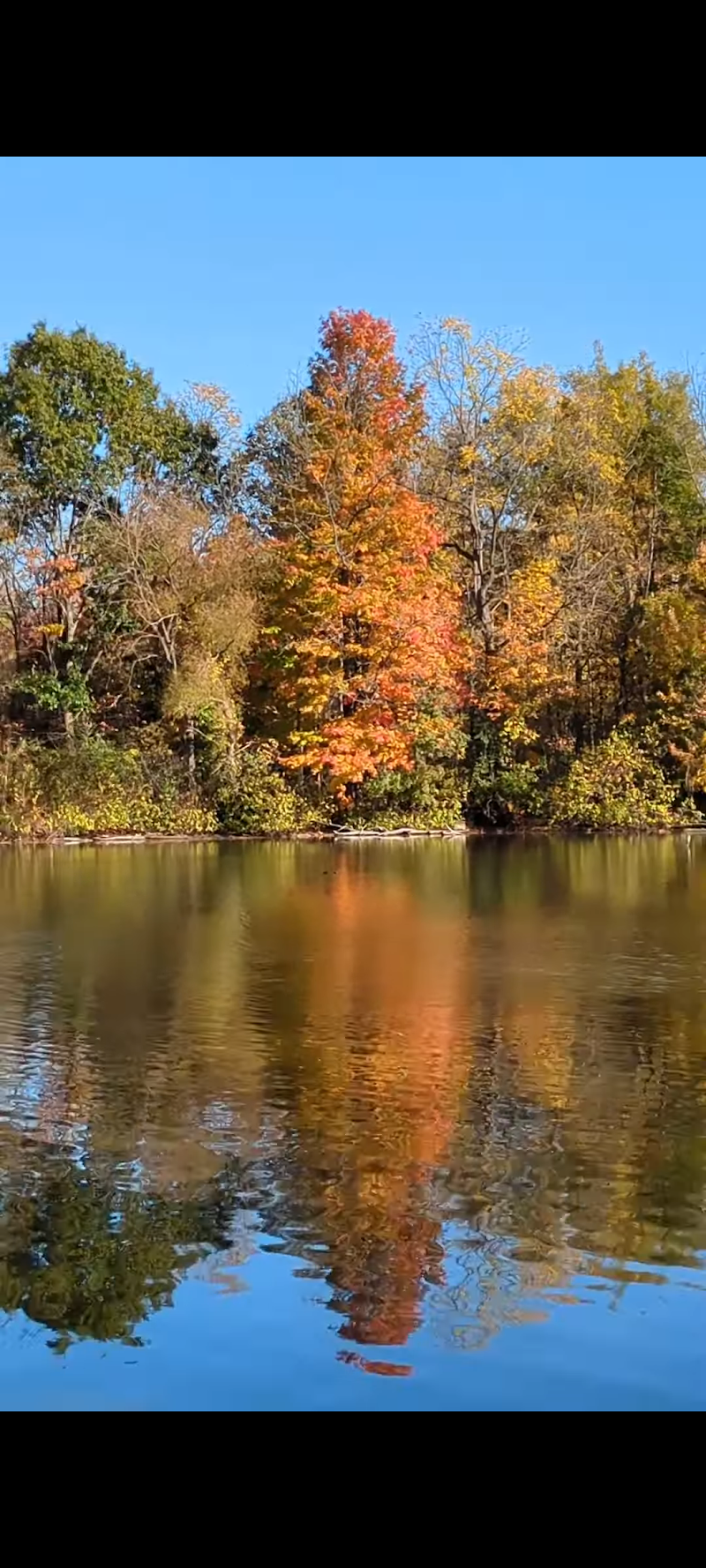 Wilson Park