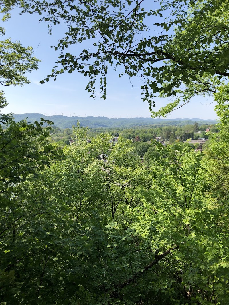 Fox Forest Wildlife Management Area