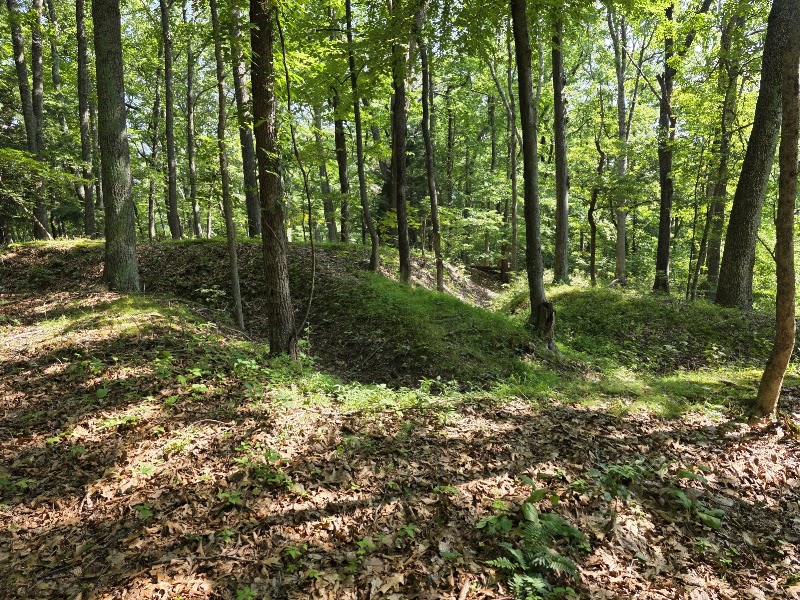 Fort Mill Ridge Wildlife Management Area