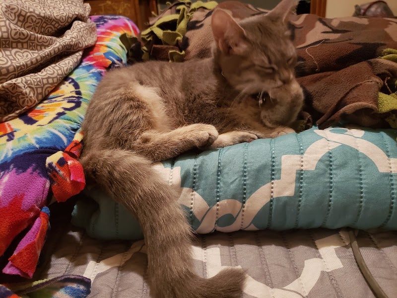 Roane County Animal Shelter