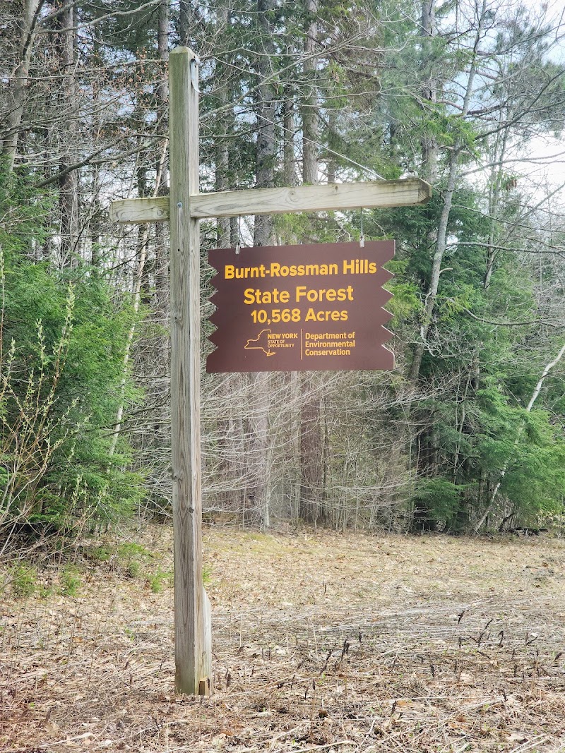 Burnt-Rossman Hills State Forest