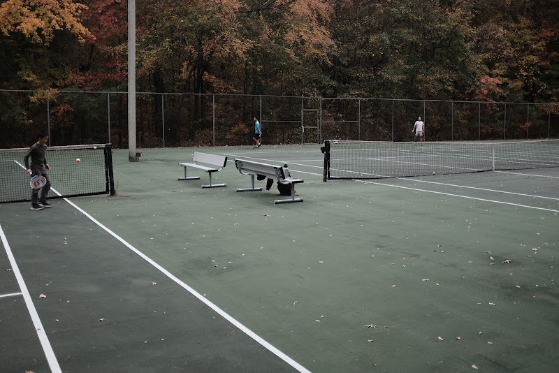 Cedar Falls Park Tennis courts