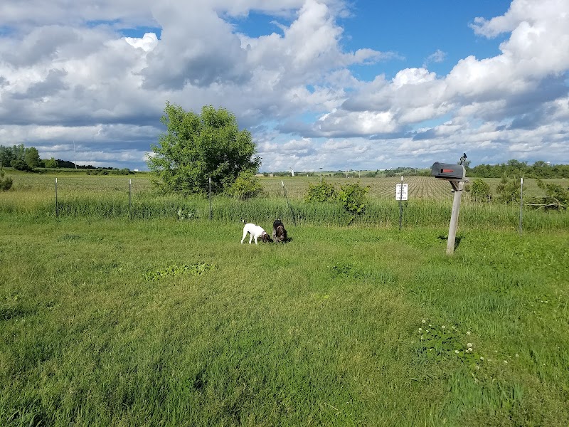 Ripon Dog Park