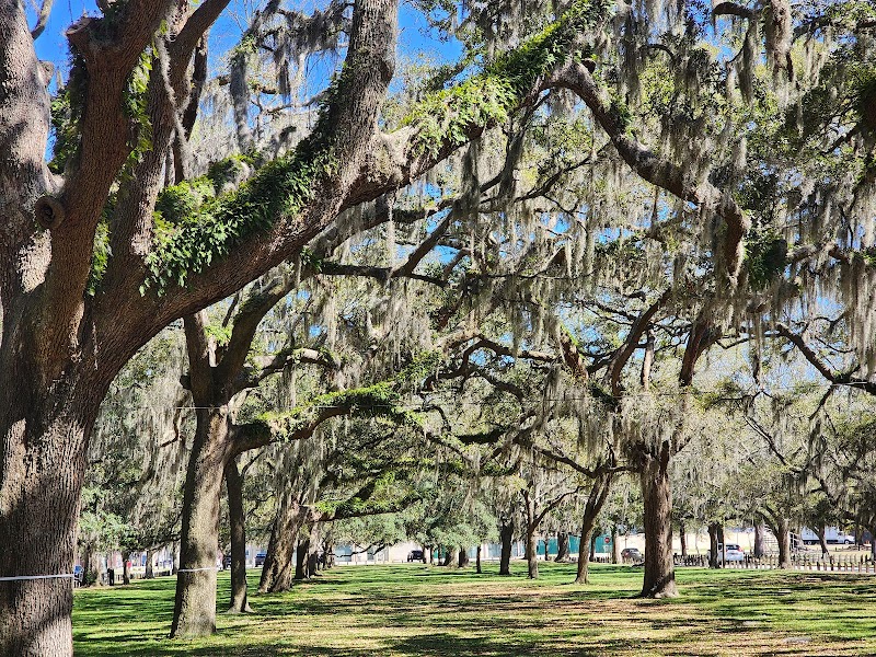 Daffin Park - Pickleball in Savannah, Georgia