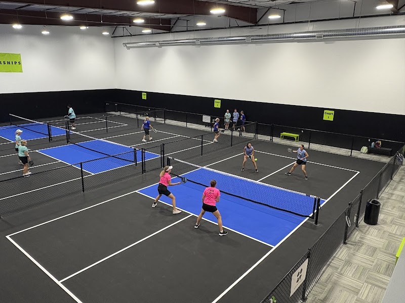 The Paddle Pickleball