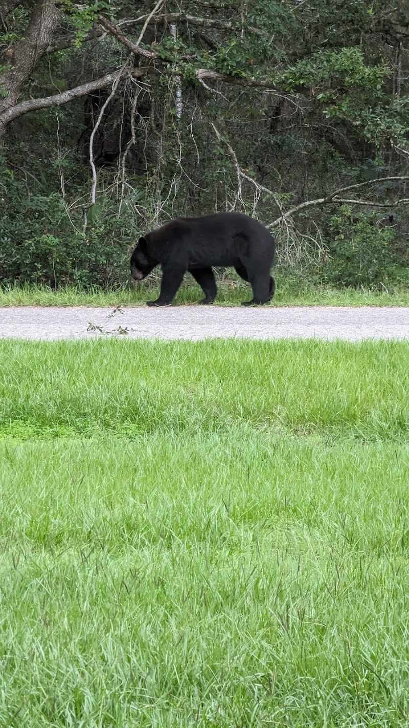Ocklawaha Community Park