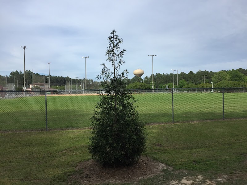 Arrowhead Park - Pickleball in Cheraw, South Carolina