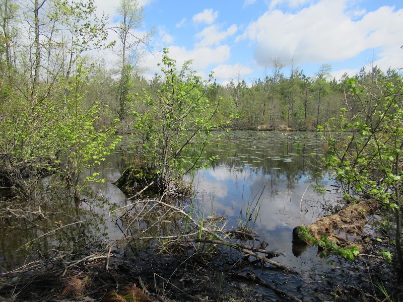 Mattaponi Wildlife Management Area - Pickleball in Mattaponi, Virginia