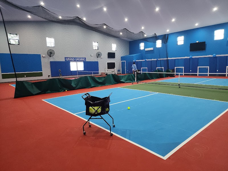 DINK IT PICKLEBALL INDOOR FACILITY