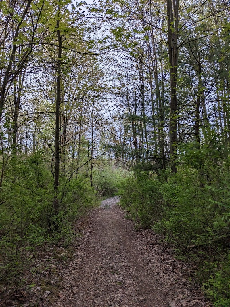 Cassadaga Lakes Nature Park