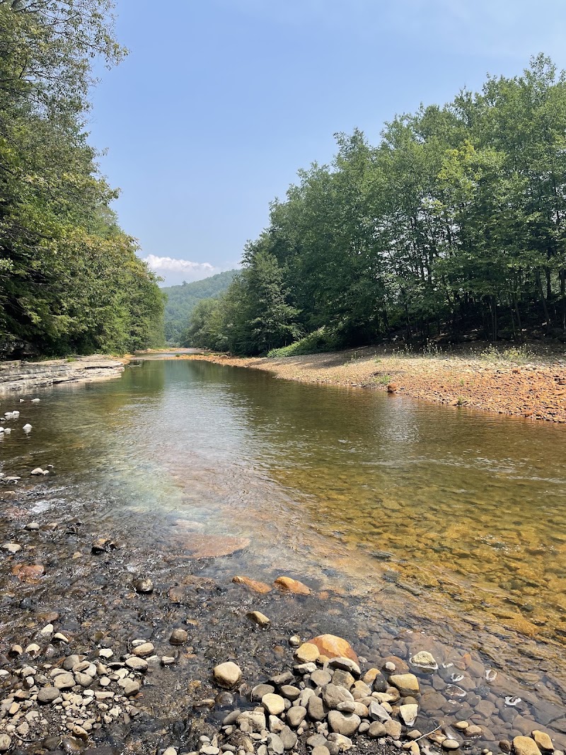 Island Park Riverwalk - Pickleball in Blossburg, Pennsylvania