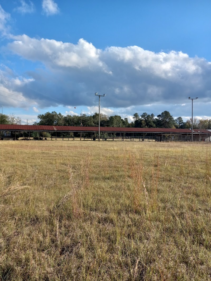 Brunson Baseball Field - Pickleball in Brunson, South Carolina