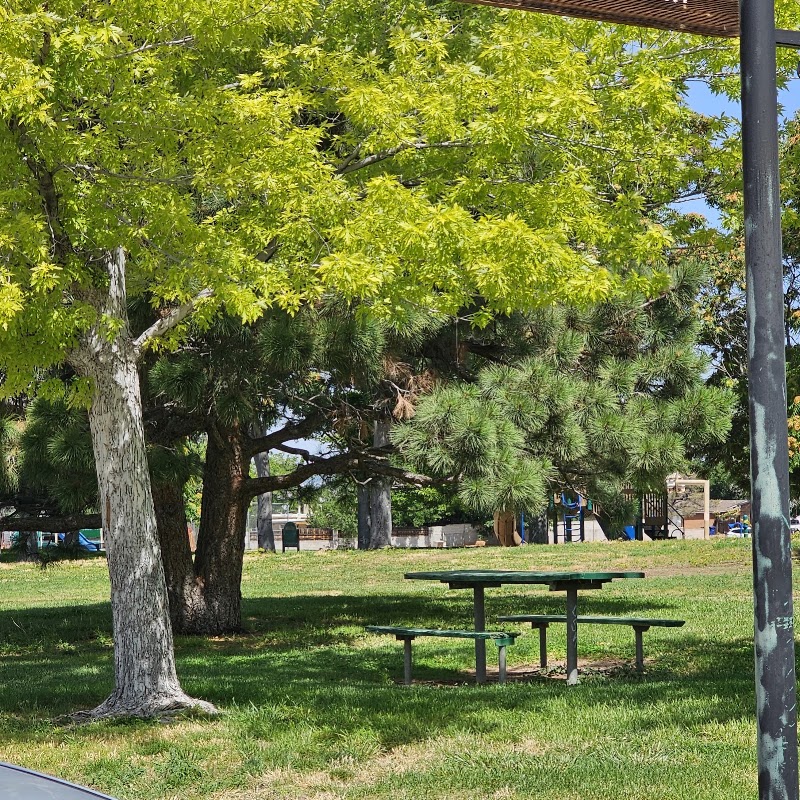 Loma del Norte Basketball Court